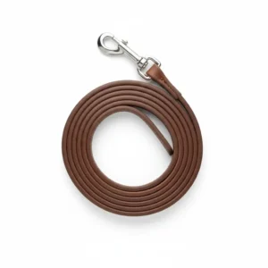 Dog Leather Leash 4ft